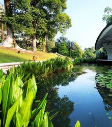 The Glencaird Residences (D10), Detached #467627851